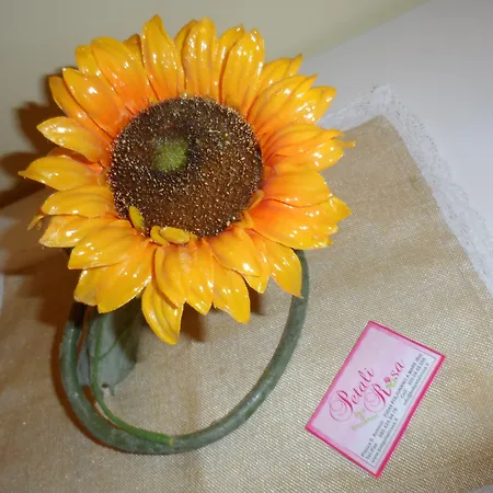 Petali Rosa לינה וארוחת בוקר 3*